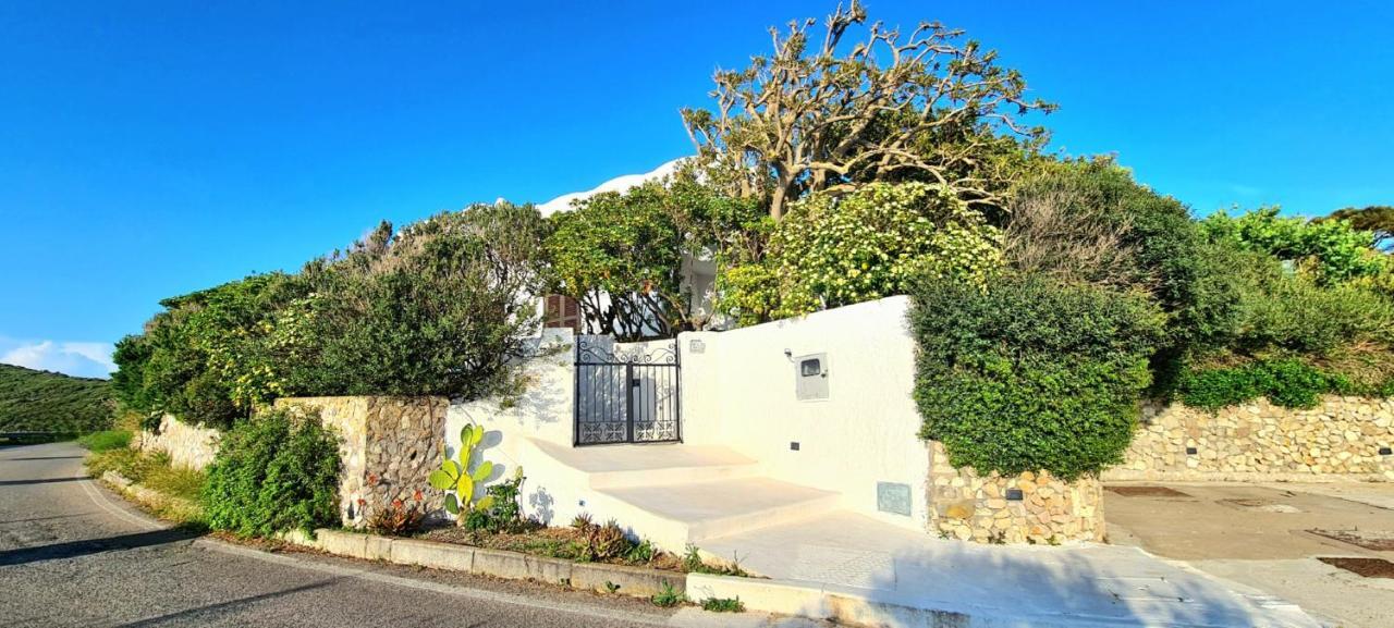 Guest House Villa Il Gabbiano Ponza Exteriér fotografie