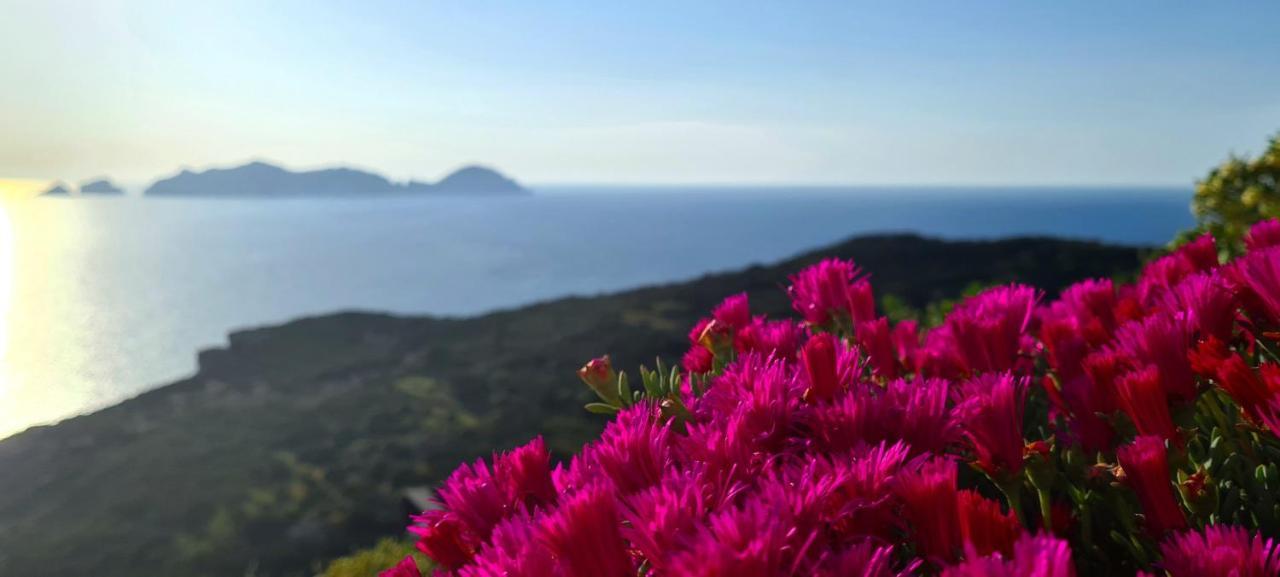 Guest House Villa Il Gabbiano Ponza Exteriér fotografie