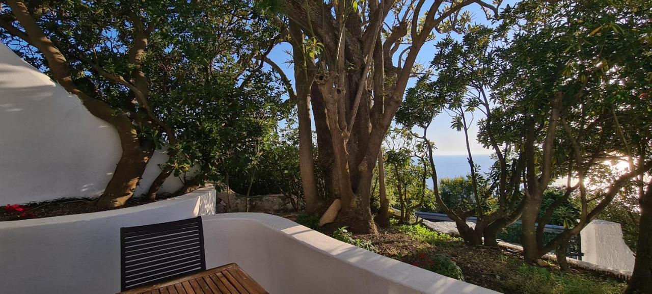 Guest House Villa Il Gabbiano Ponza Exteriér fotografie